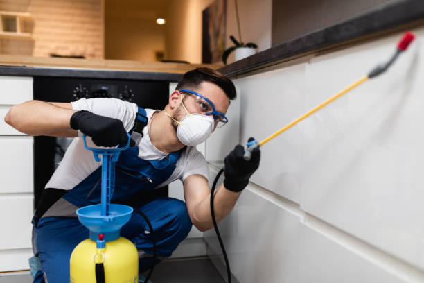 Best Pest Control Near Me  in Aztec, NM