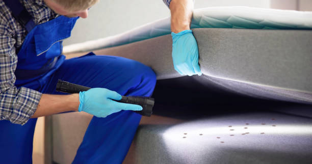 Best Exterminator Services  in Aztec, NM