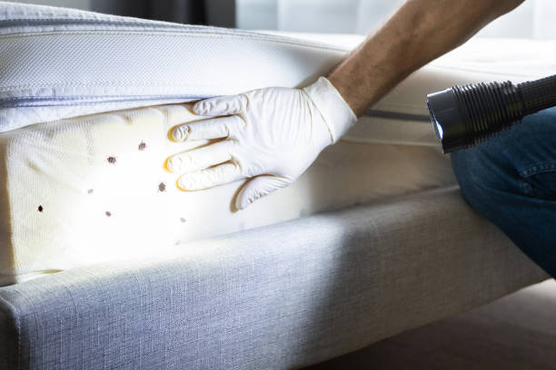 Best Best Pest Control Companies  in Aztec, NM