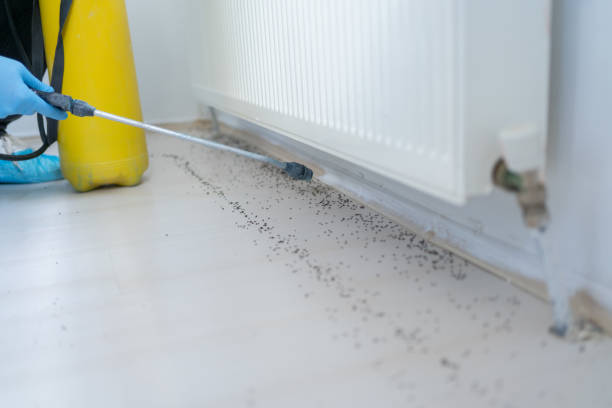 Best Best Pest Control Companies  in Aztec, NM