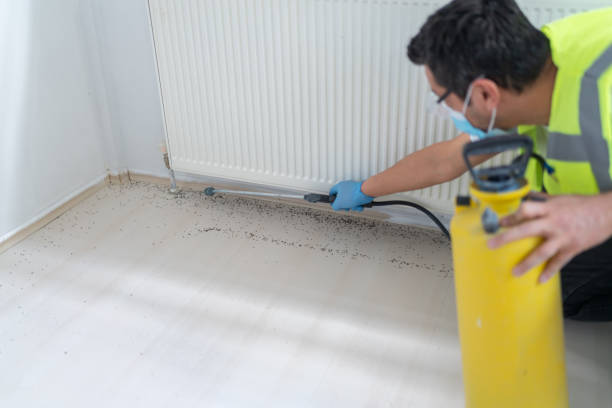 Best Pest Removal Services  in Aztec, NM